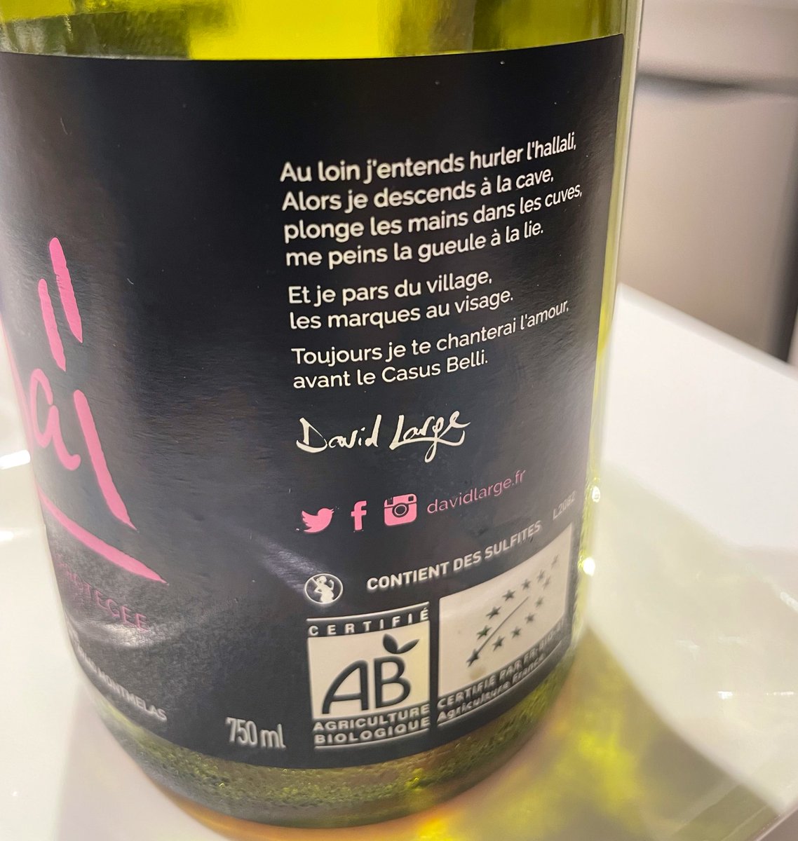 <a href="/davidlarge3/">david large</a> toujours poète, toujours perché (c’est un compliment), toujours efficace ! 
En souvenir de ta visite à Nailloux !
(Oui la quille a pris une claque…)