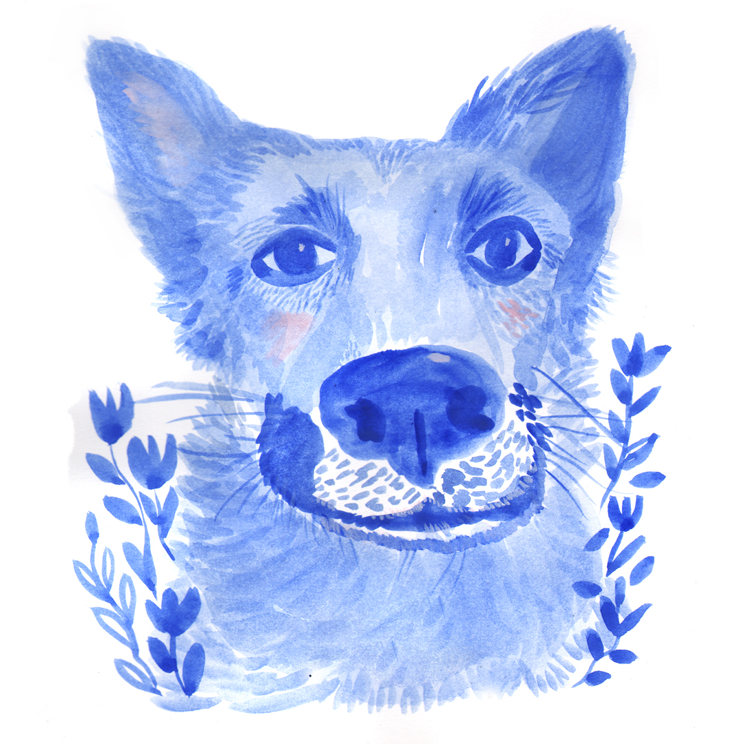 LisaCinar's tweet photo. In case you would like one: My Pet Portraits are currently %30 off now until end of November! 💙 Just enter Promocode: PETS4EVER at checkout! You can find them over at my shop @drawmealion /drawmealion.com https://t.co/lEweRUa4jb