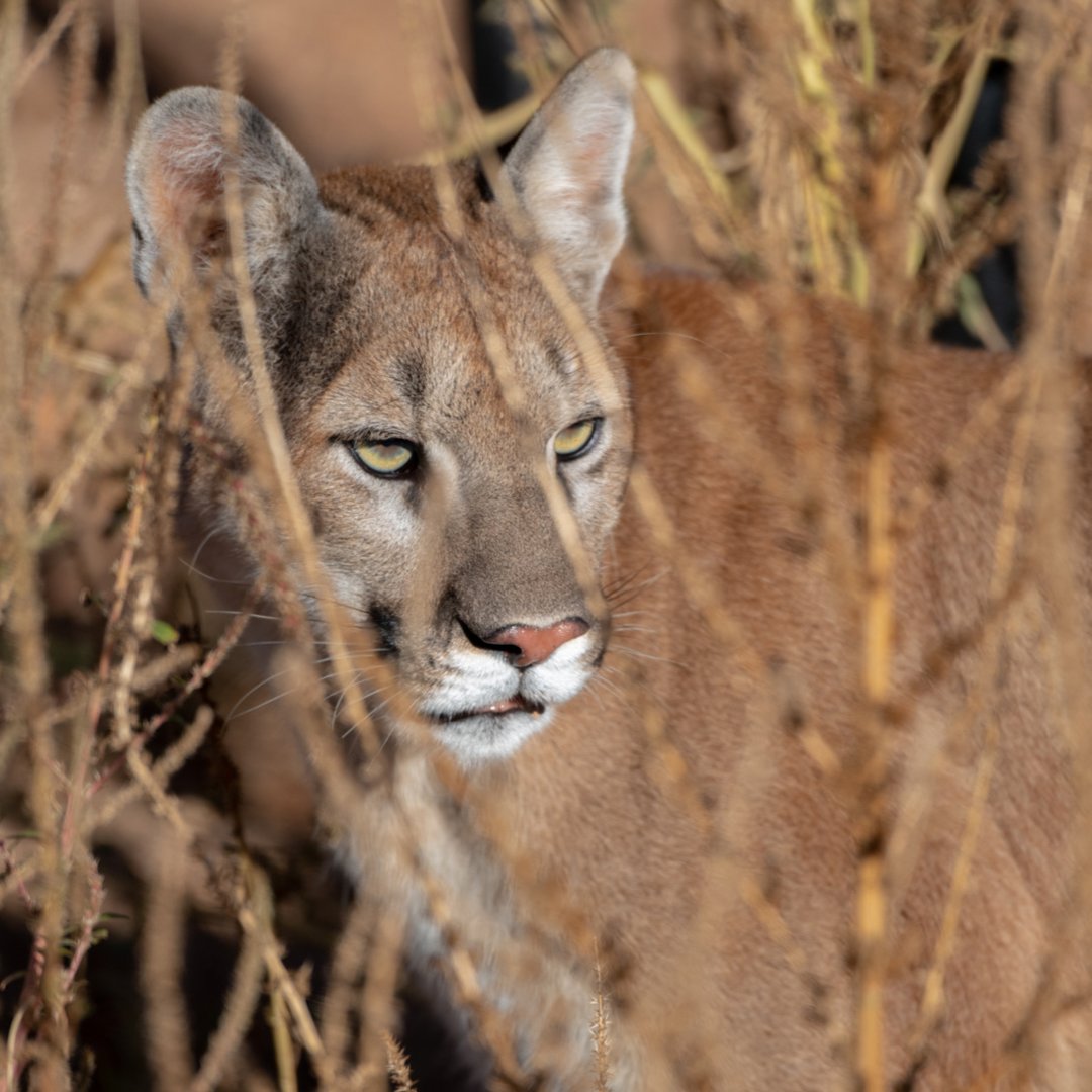 SLO Parks and Rec tweet media