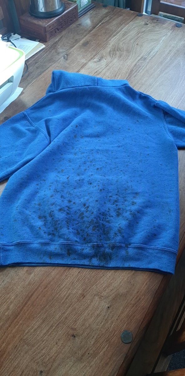 StephanoRobert3's tweet photo. 10km today, 6.5km yesterday in the mud!
Little Legs absolutely amazes me 🏃‍♀️🥰💜 https://t.co/BixkJpVB5G