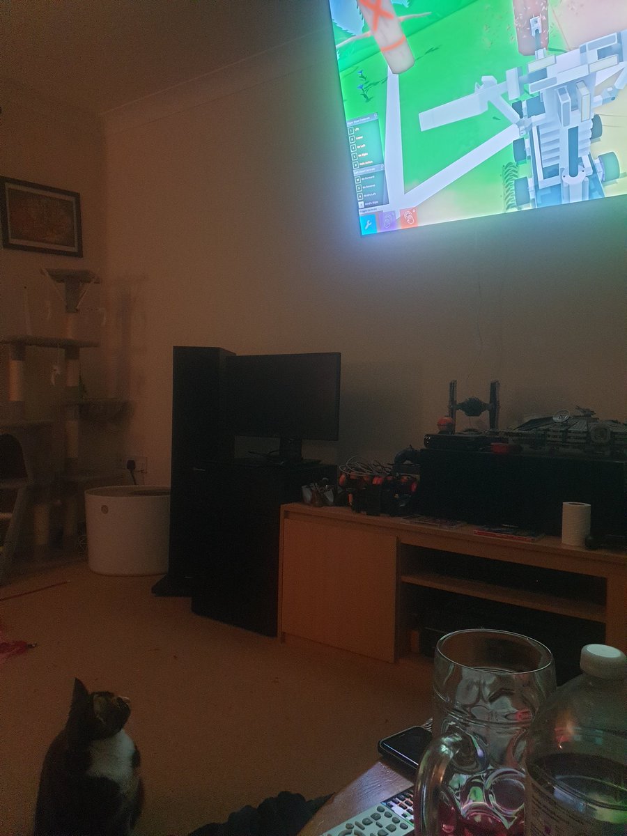 Pixryu_'s tweet photo. My kitten is a yognau(gh)t @Angory_Tom jewels loves your videos the most https://t.co/Qxi82i50H0