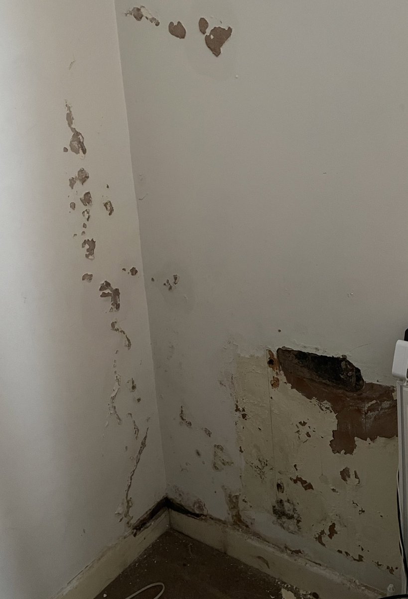 softpetals's tweet photo. @MarkDrakeford @HuwJDavidCC 10 years I have lived with mould and damp!! 10 years!! How is this acceptable? My family and my health is suffering!! Not acceptable!! #claddingscandal #mouldanddamp #EWIcladding @rupert41 #mybedroom https://t.co/TWXmRJEFPF