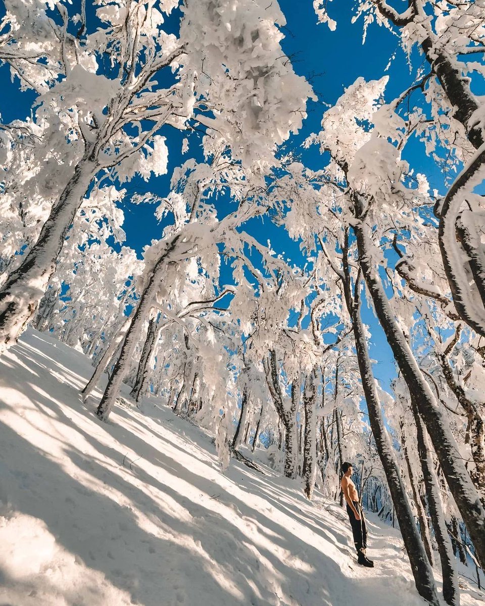 Against all odds the southern Slovenia got the snow at lower elevations while the Gorenjska region was practically snow-free up to almost 2K meters. Nevertheless, more snow is on its way and it should snow on Tuesday! 🥳 Anyone looking forward to that?🙌
Photo by 📸 @zgembovizija