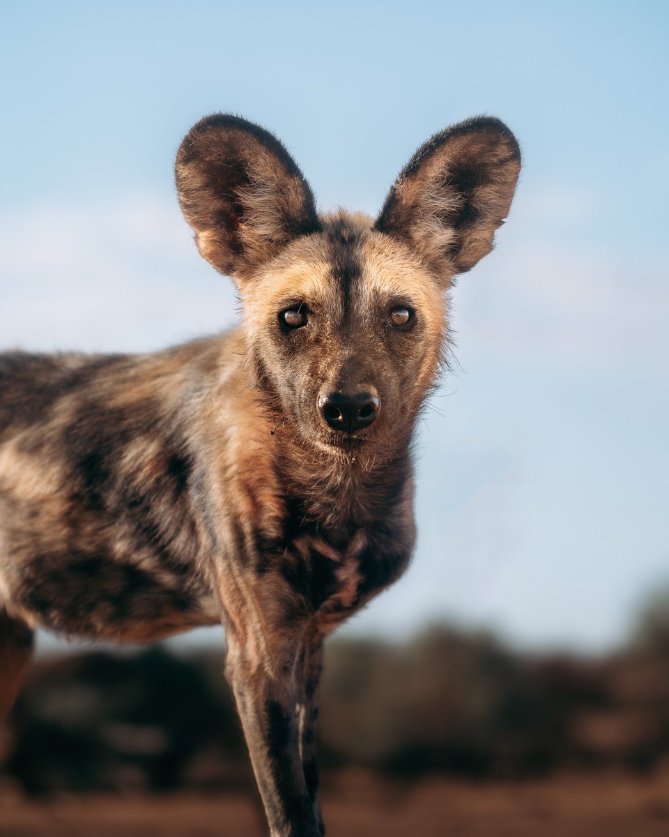 Have a lovely Sunday fam. 
Gm 💙