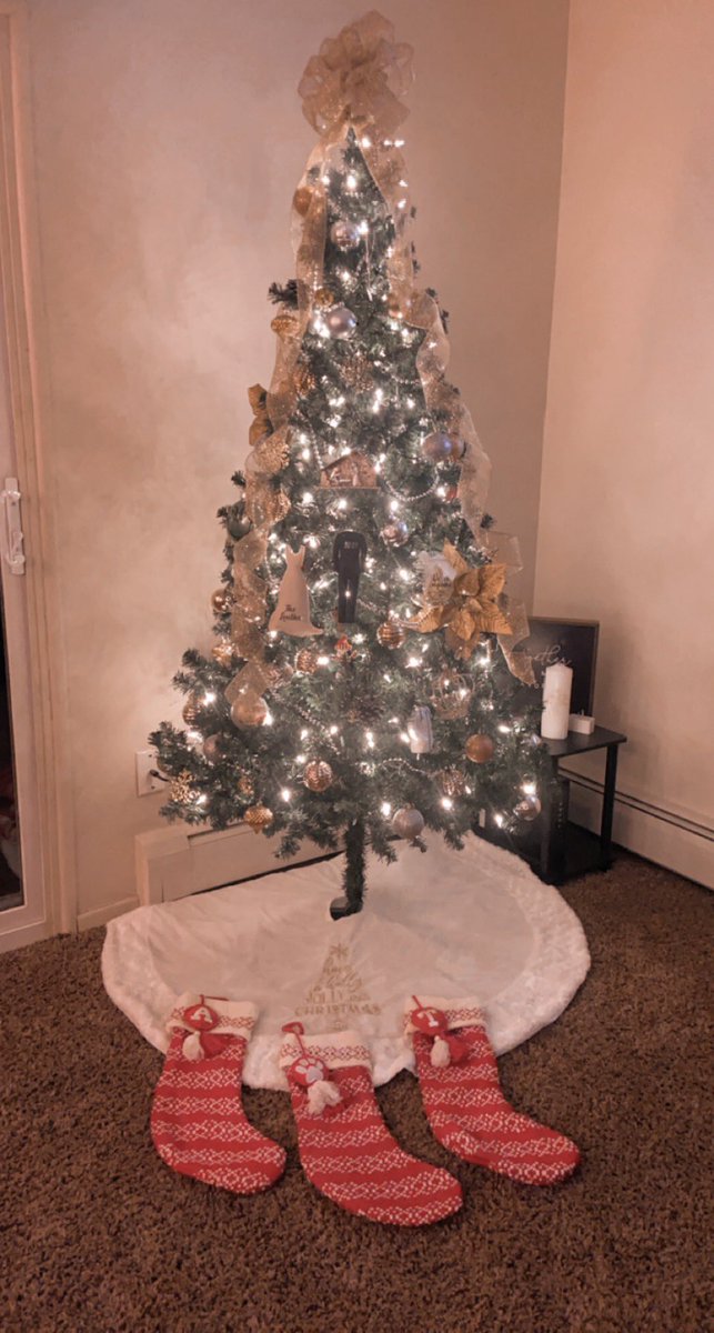 taylorrbugg10's tweet photo. I love Christmas 🎅🏼🎄 https://t.co/349x6EvotS