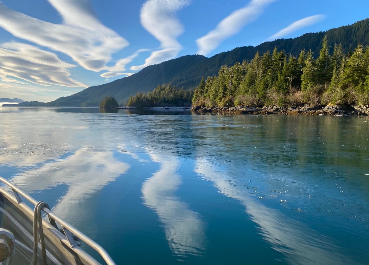 TendOcean's tweet photo. Out fine tuning the kelp gear at Noble Ocean Farm in Simpson Bay, Prince William Sound. A beautiful day on the water in advance of a TendOcean™ catenary array workshop in Cordova, AK. @GreenWaveOrg @ARPAE @uafairbanks #seaweed #kelp https://t.co/41TcznIl9R