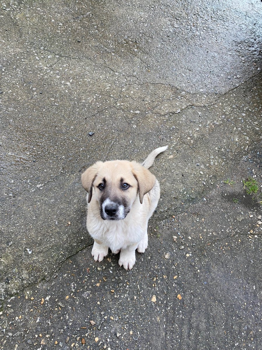 puedes volver a ser así🥺