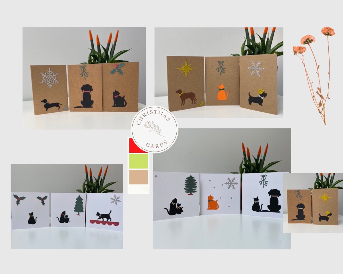 Hannah Hill tweet media