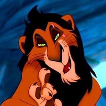 Ally Maynard tweet media