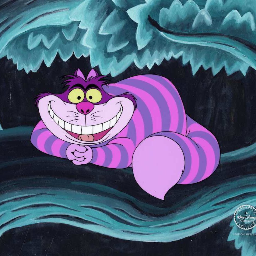 Ally Maynard tweet media