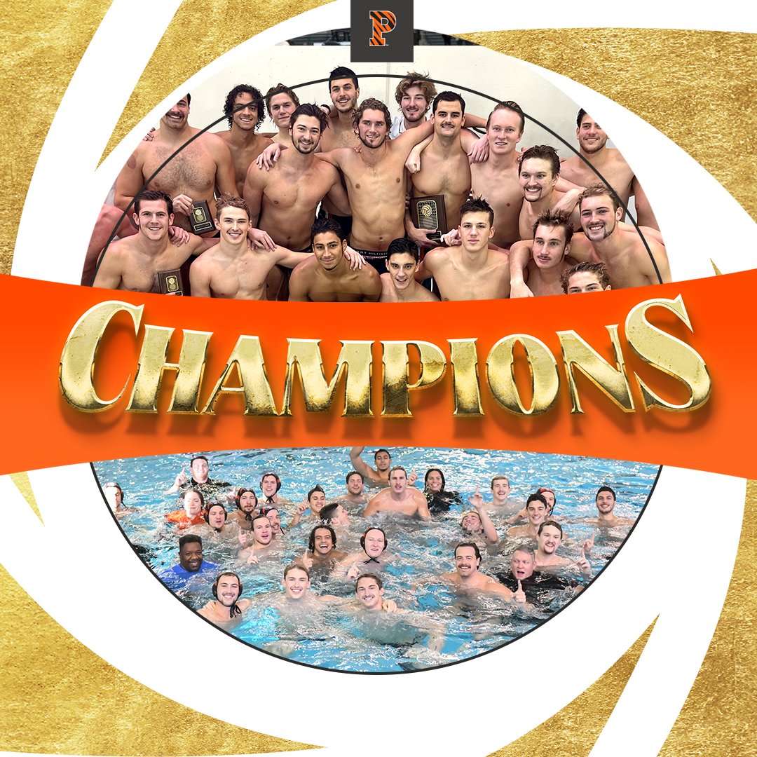 Princeton Water Polo tweet media
