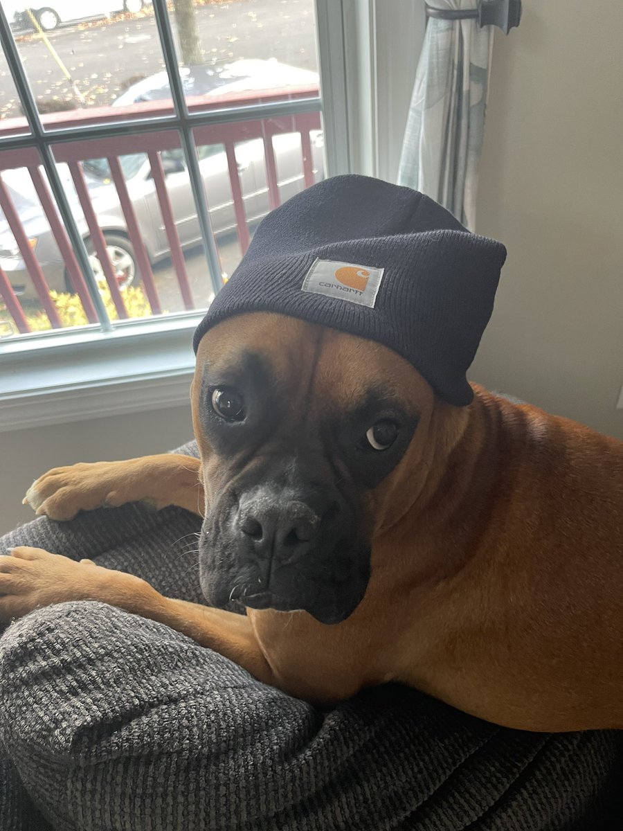 gabby conca tweet media