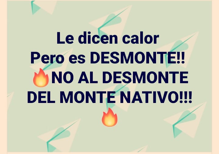 Daniel Hugo Campos tweet media