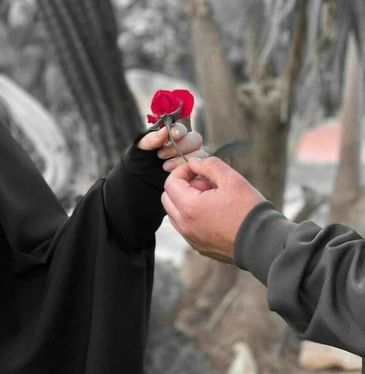 rab_Indo's tweet photo. يا رب لا تجعلني أحب إلا من سأتزوج، 
ولا تجعلني أتزوج إلا من أحب 

Yaa Allah, janganlah Engkau jadikan aku mencintai, kecuali kepada orang yang akan kunikahi. Dan janganlah Engkau buat aku menikahi, kecuali dengan orang yang kucintai.” https://t.co/k0j96tcpkA