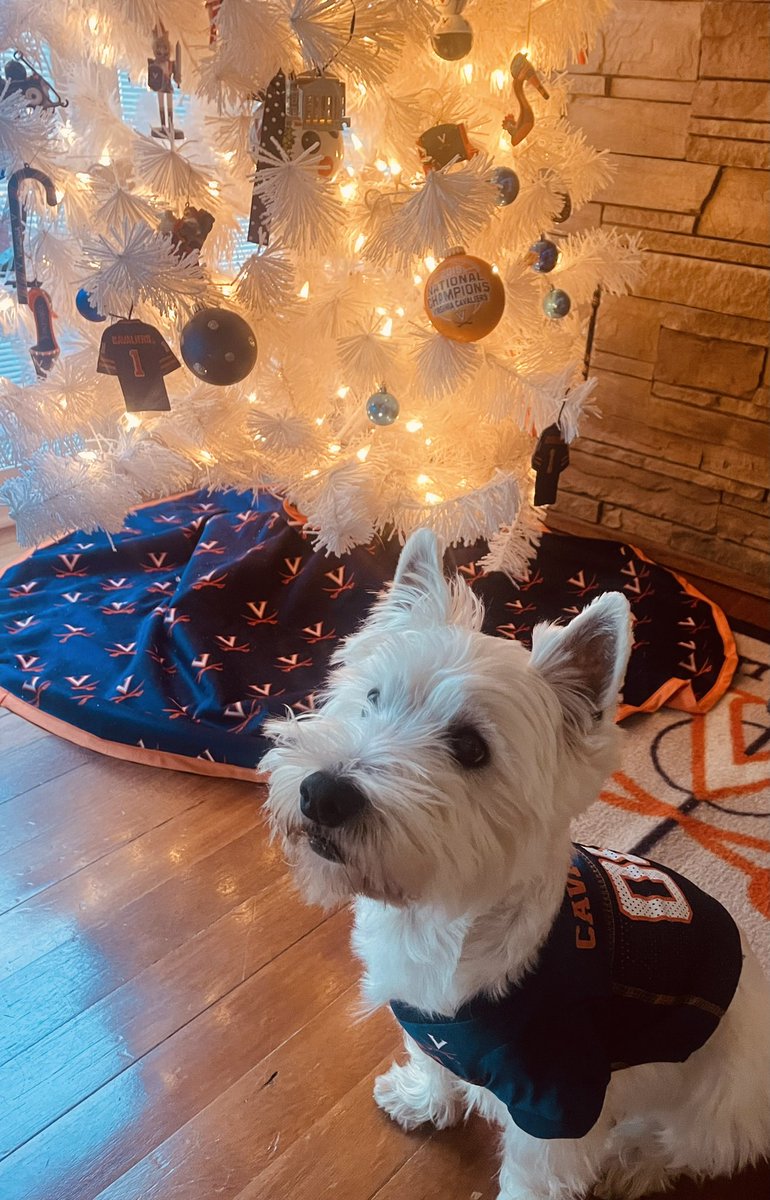 Nurs621's tweet photo. TJ is thinking about his fellow Hoos &amp; sending them some heartfelt vibes….. https://t.co/CuwhfjCZMx