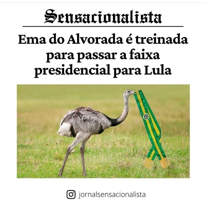 Sue Holder: É LULA 13!!! (@sueholder) on Twitter photo 