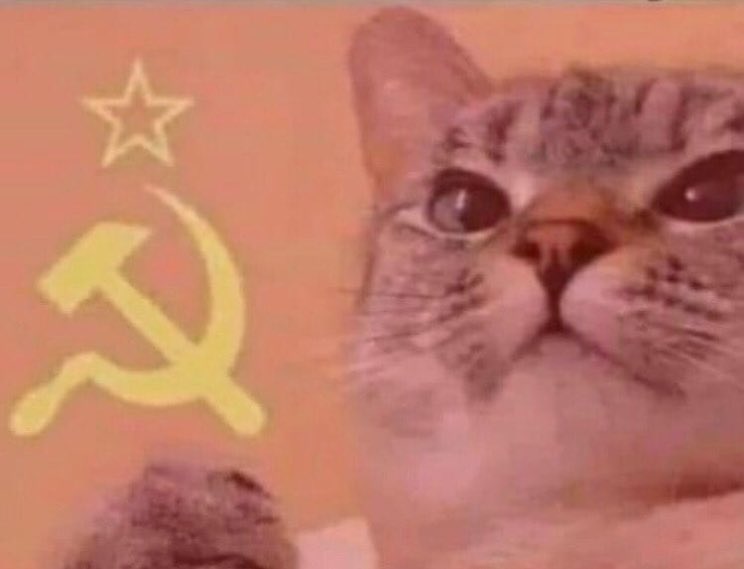 Meme checkpoint comrades:

- You reply with your best crypto/finance memes
- I redistribute them