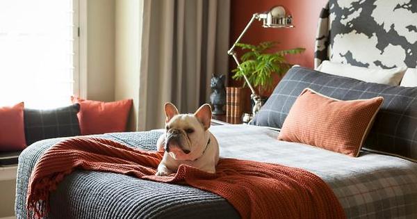 Having trouble keeping your home clean since some furry friends moved in? These tips should immediately help!

Chris Wezel
VP Commercial Lending
m. (321) 303-9195
e. chris.wezel@radixhawk.com

Radix Hawk
200 E Robinson... diynetwork.com/how-to/make-an…