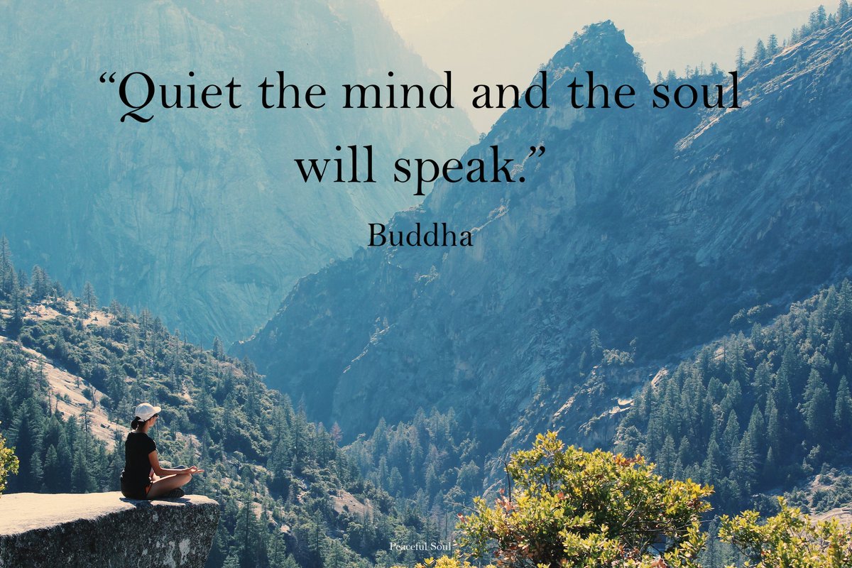 “Quiet the mind and the soul will speak.” Buddha #quote