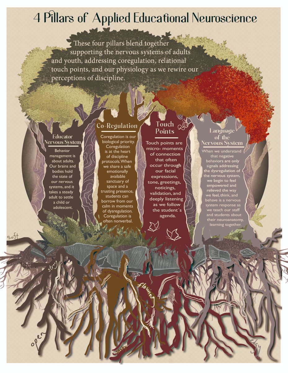 Our nervous systems hold the language that gets to the root of our behavioral challenges and those behaviors we misunderstand!