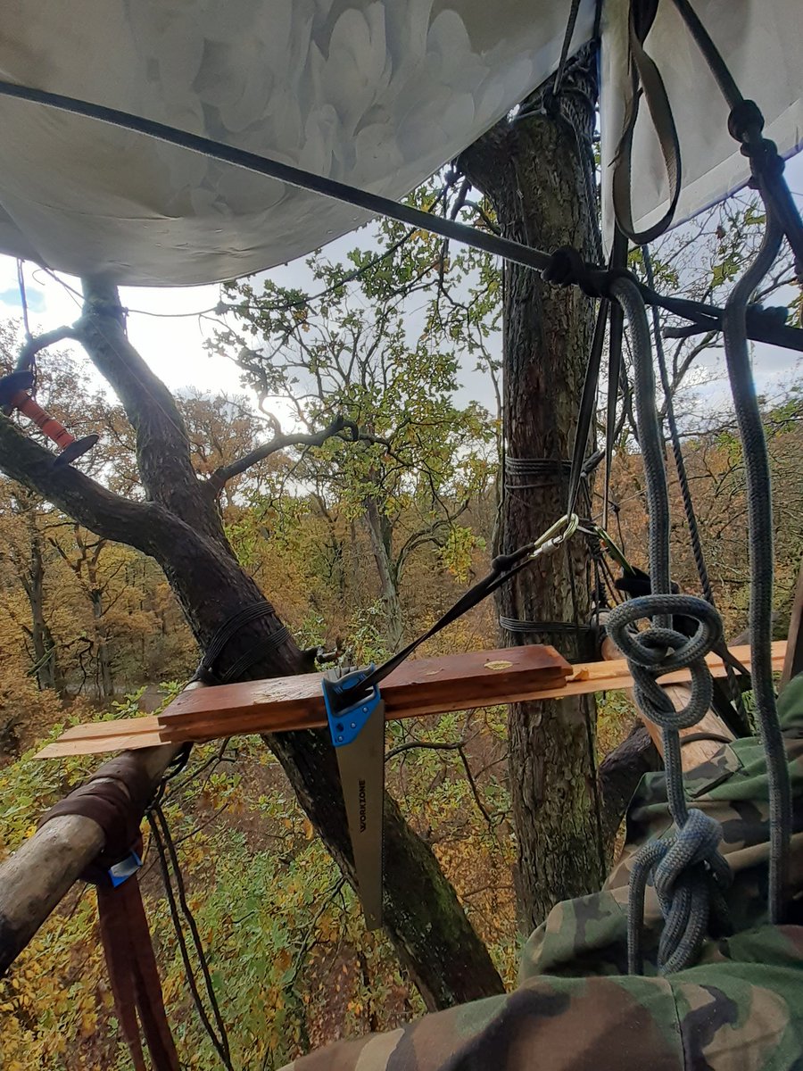 Treehouses being buildt in #fecherbleibt <a href="/RiWaTu_stoppen/">Fecher (im Exil) @Riederwald@climatejustice.social</a> 
Come around, there is plenty of space for more! 
#DanniLebt #Acab