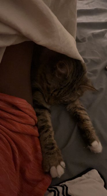 princess feels so safe and happy when she&rsquo;s wrapped up like this. https://t.co/iQ5wrgScV7<a href="/tag/happybirthdaynicki"class="tags"><span>#happybirthdaynicki</span></a>