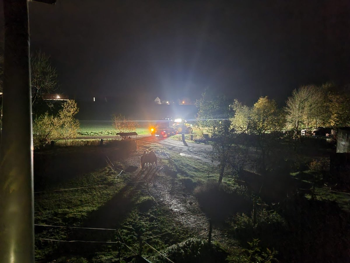 Deere_Henni's tweet photo. .⁣John Deere 6195 mit Liebherr 914&amp; ⁦@Rototilt⁩ R5
#agriculture #country #countrylife #countrylifestyles #johndeere #deere #Tractor #liebherr #bagger #excavator #sonax #Rototilt #deere_henni https://t.co/RZyApmiz1C