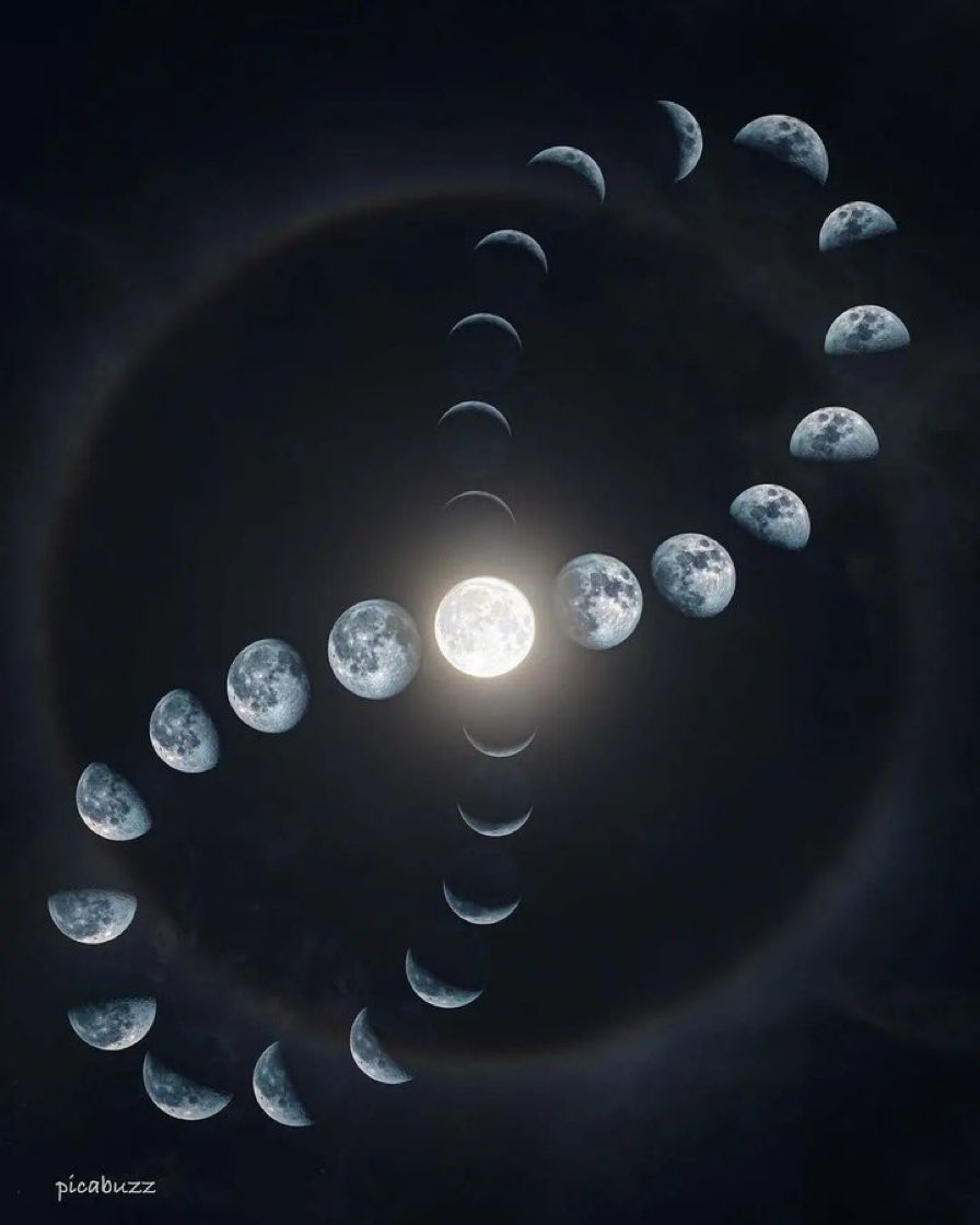 Moon lover