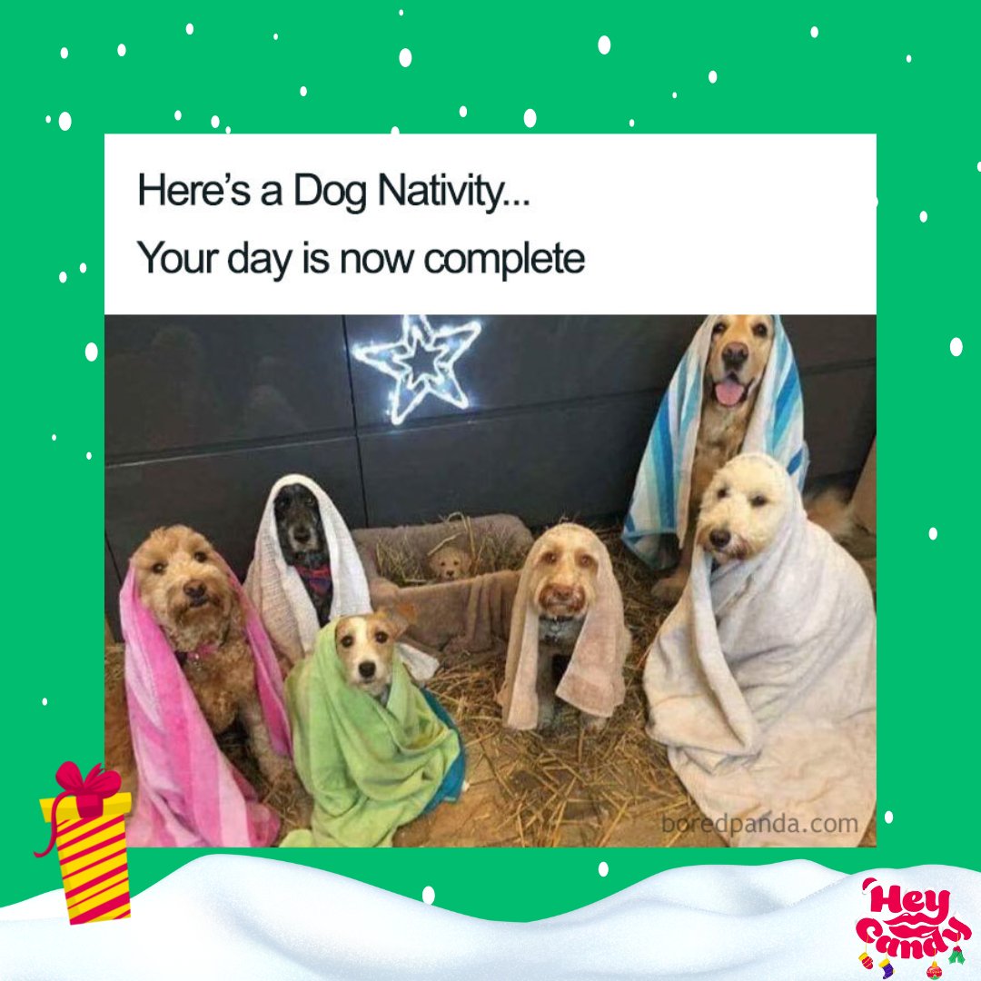 lovefunhub's tweet photo. Omg! Tag a dog lover ๐โ๏ธ
#candy #sweets #sweetshop #gummys #pickamix #chocolate #jellys #Christmascandy #Christmas #picnmix #candytreat #Christmaschocolate #Christmas #santa #elf https://t.co/Fbn6UbTD5L