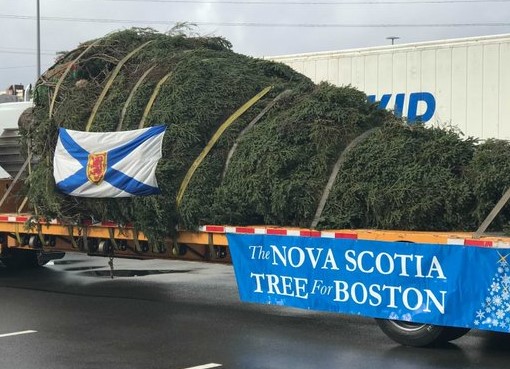 Meanwhile in Canada (@meanwhileincana) on Twitter photo Every year, Nova Scotia provides Boston with its official yuletide tree as a thank you for the city's response to the 1917 #HalifaxExplosion
An estimated 2,000 people died & 9,000 more were hurt. 
Aid from #Boston was the 1st to arrive, and the response has not been forgotten. Every year, Nova Scotia provides Boston with its official yuletide tree as a thank you for the city's response to the 1917 #HalifaxExplosion
An estimated 2,000 people died & 9,000 more were hurt. 
Aid from #Boston was the 1st to arrive, and the response has not been forgotten.