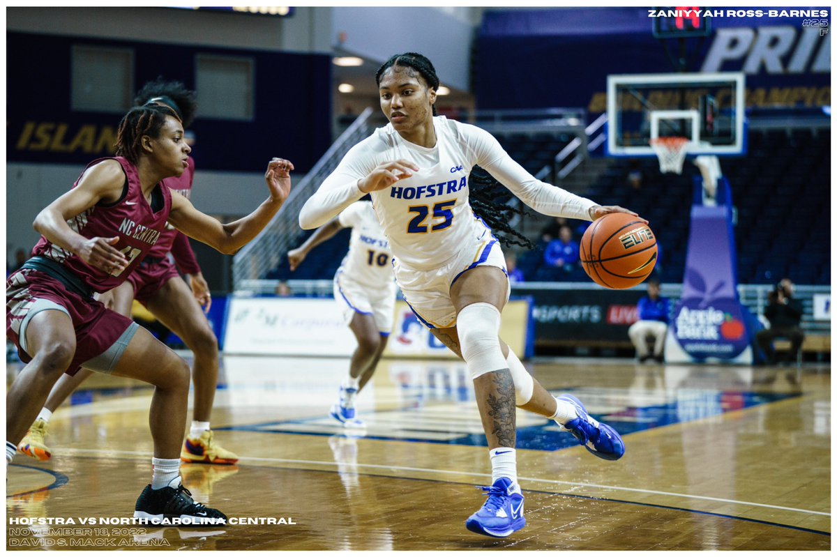 evanbernstei's tweet photo. Frames from @HofstraWBB home opener #PrideofLi https://t.co/oQRA2R9p5B