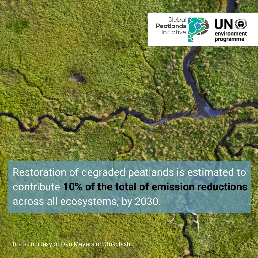 UNEP's tweet photo. Peatlands play a critical role in the fight against #ClimateChange as they are natural carbon sinks.

Urgent global action is needed to conserve and restore peatlands.

New report launched at #COP27: https://t.co/AghykXf1nL https://t.co/YNsCoNvkX1