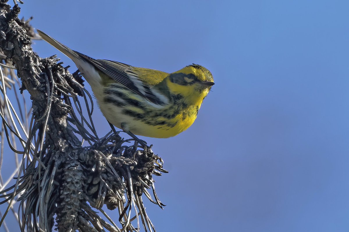 EJ Bartolazo tweet media