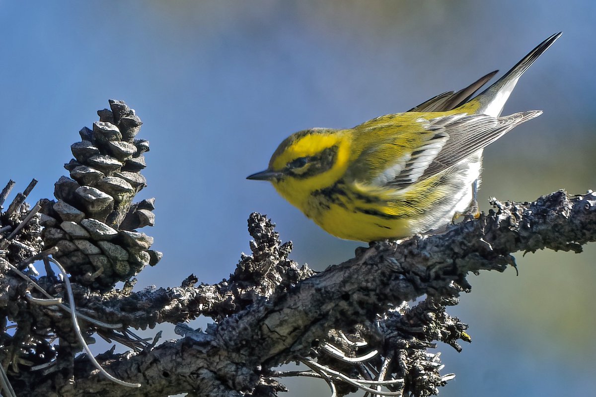 EJ Bartolazo tweet media