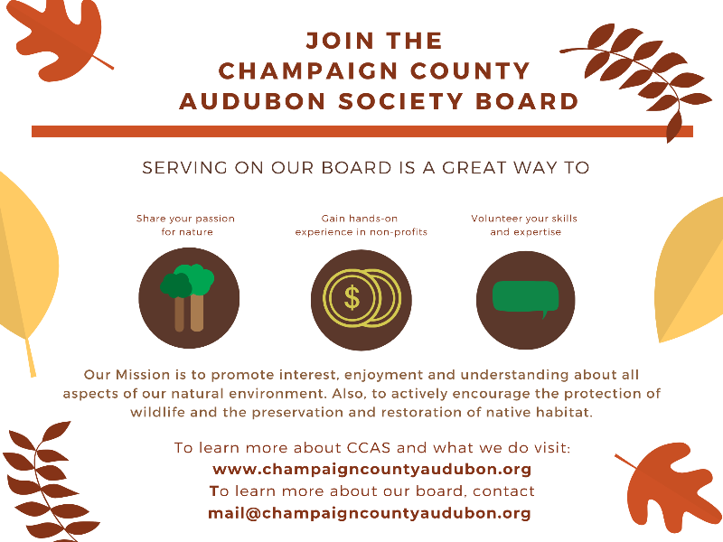 Champaign County Audubon Society tweet media