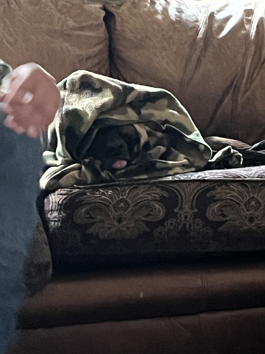 What Tyger thinks of cold weather!!!