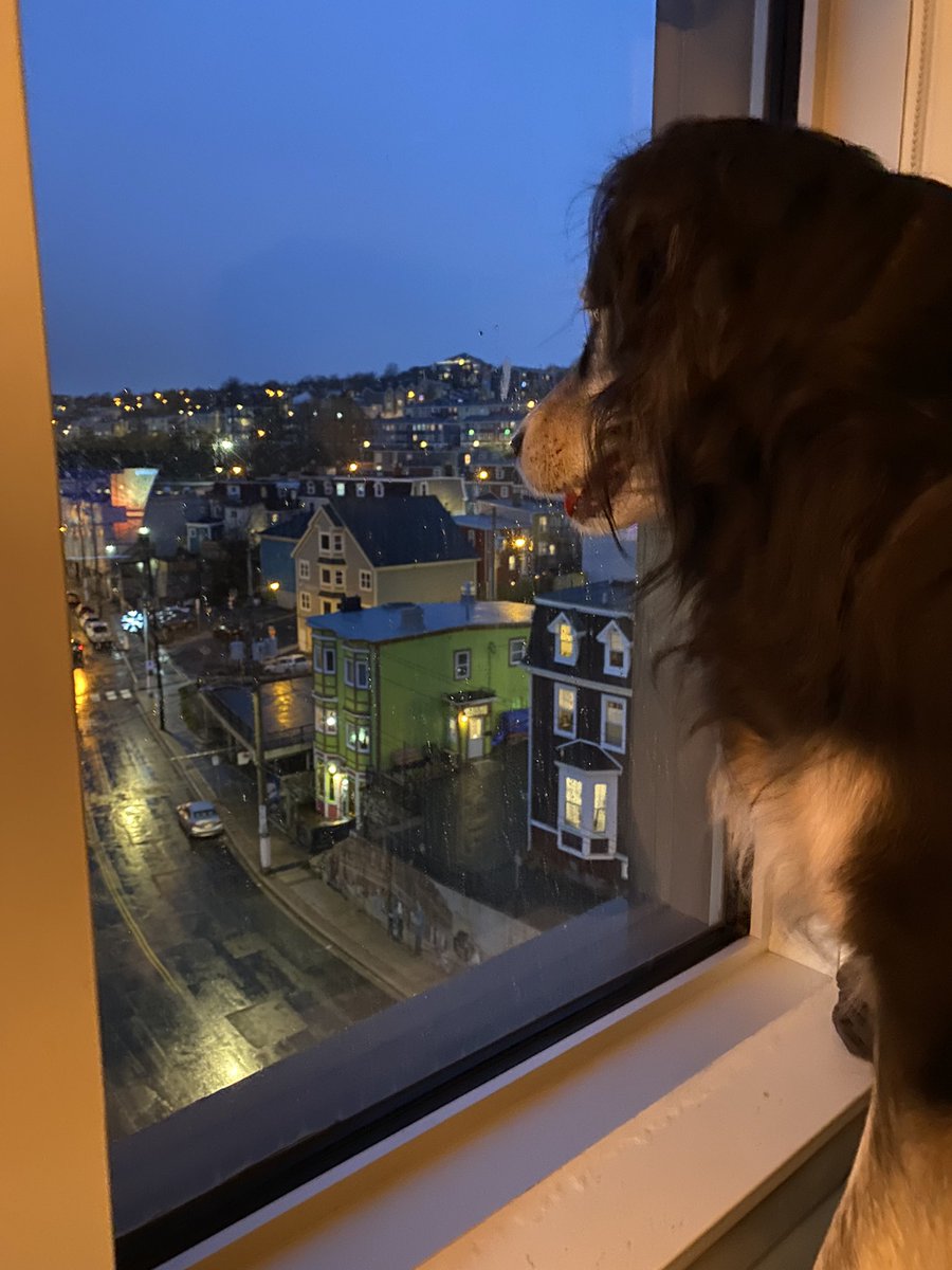 Settling into our new home &amp; listening to the rain. Thea’s claimed this spot as hers! 🥰