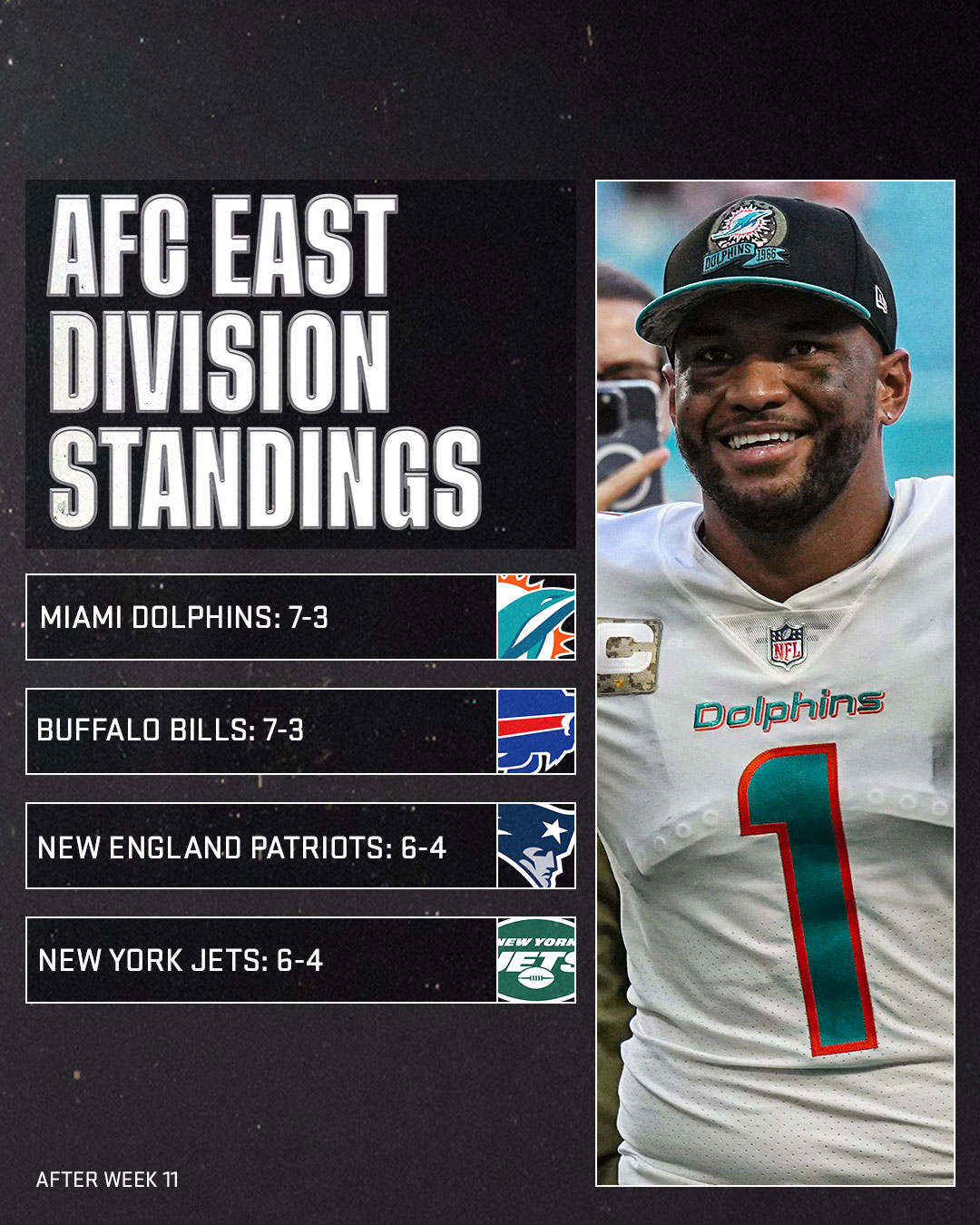 miami dolphins standings