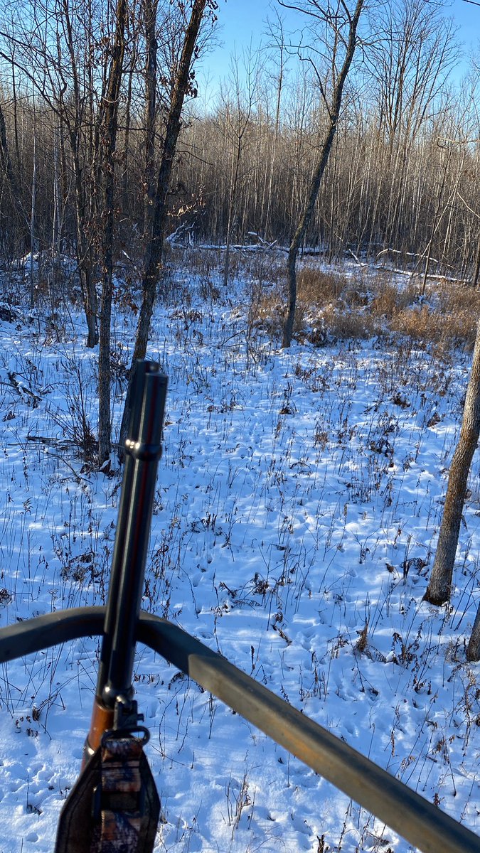 Last day of regular firearms if all else fails muzzle loader time!!!! #Godscountry  <a href="/burnside4141/">Mike Burnside</a> <a href="/MissBehave2121/">💋 Miss Behave 💋</a> <a href="/popeyung/">Yung Pope</a> <a href="/jorgjohn1972/">John Jorgensen</a>