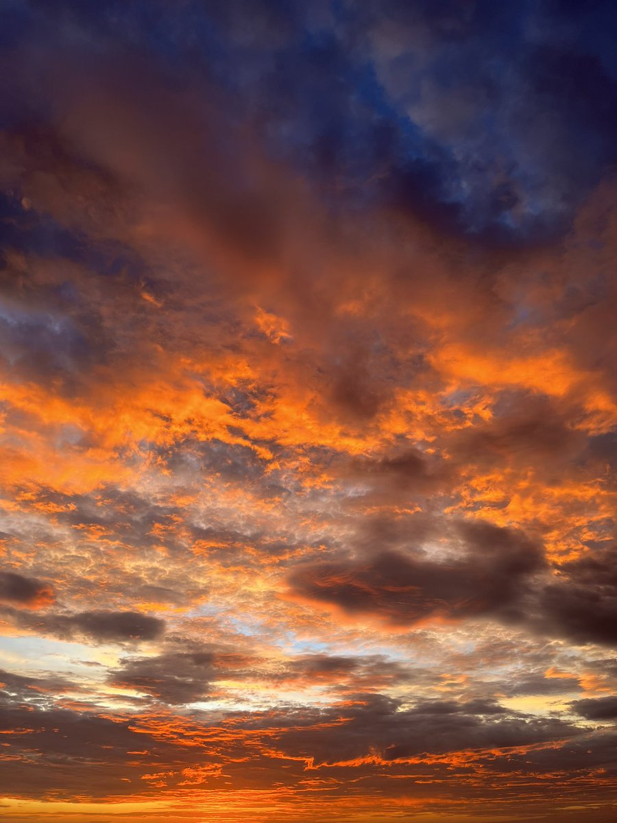 Emily Cordes tweet media