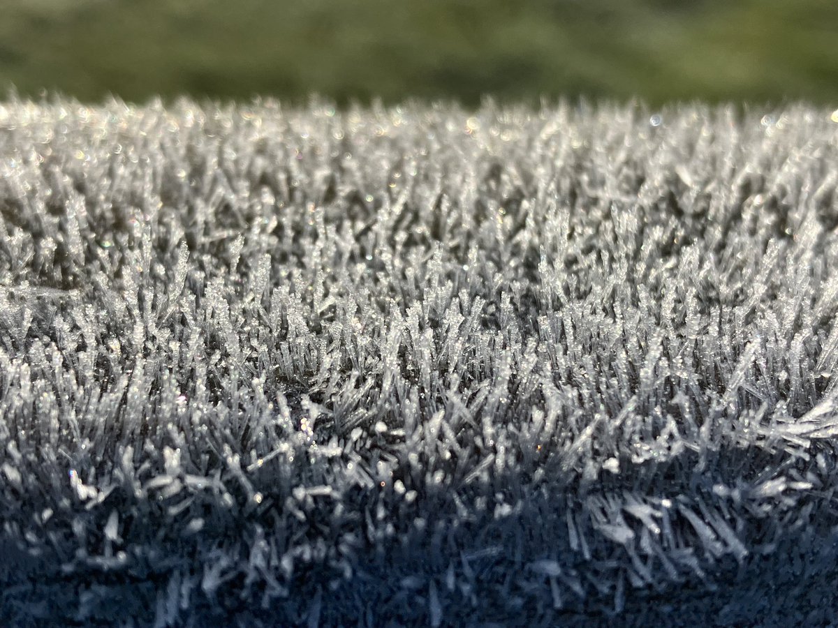 That was a glorious Saturday! 🍁🧡🍂