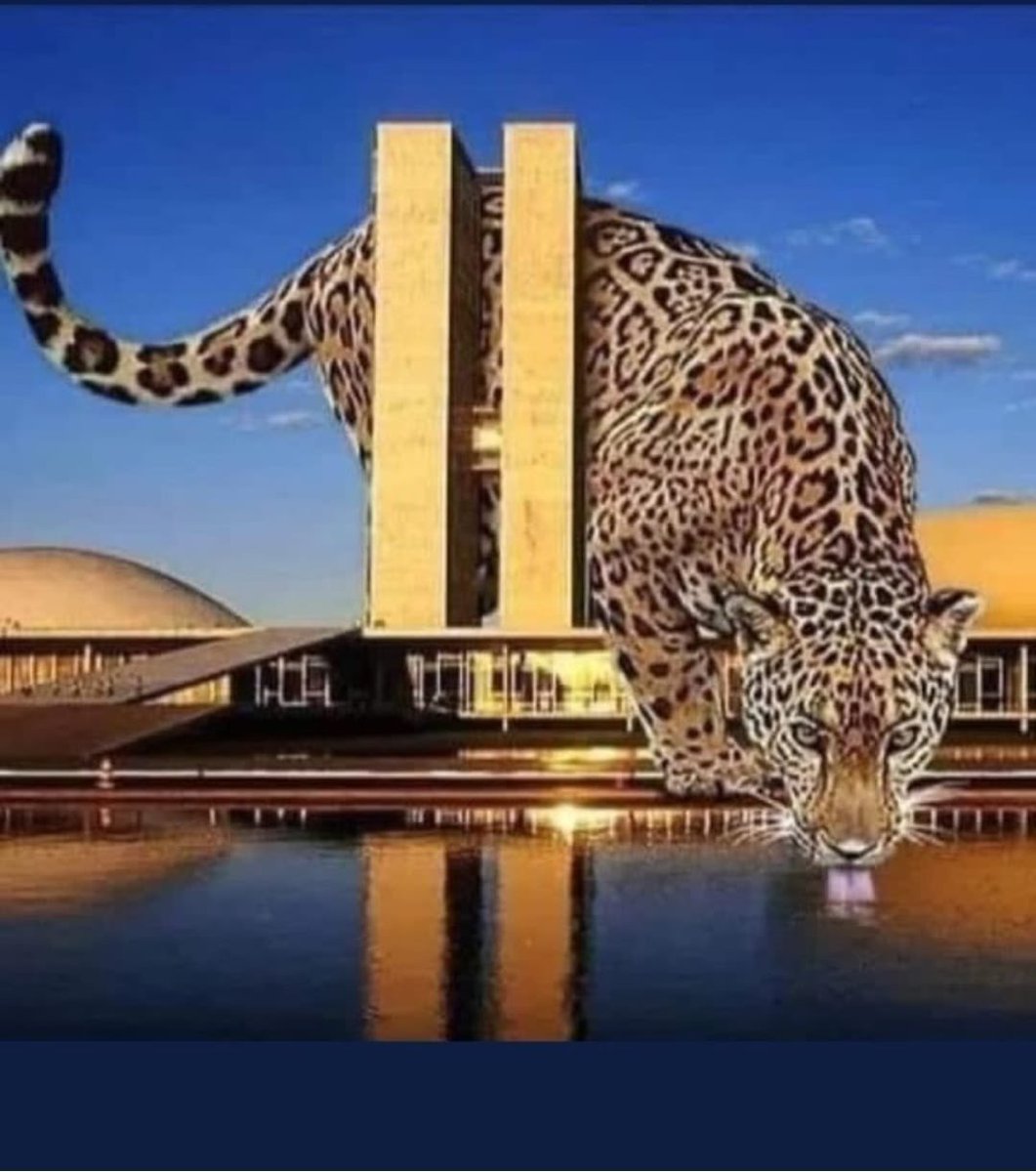 GeneralGirao's tweet photo. Urnas sendo transportadas em pleno domingo para um local muito “suspeito”! O caminhão usado, foi usado tb por um político de um partido “suspeito”! Qual será a explicação do Min do TSE, tb muito “suspeito “? https://t.co/8ELygRW1P2