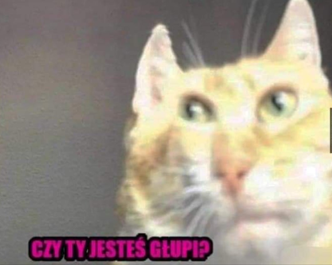 Pierr Dolniety tweet media