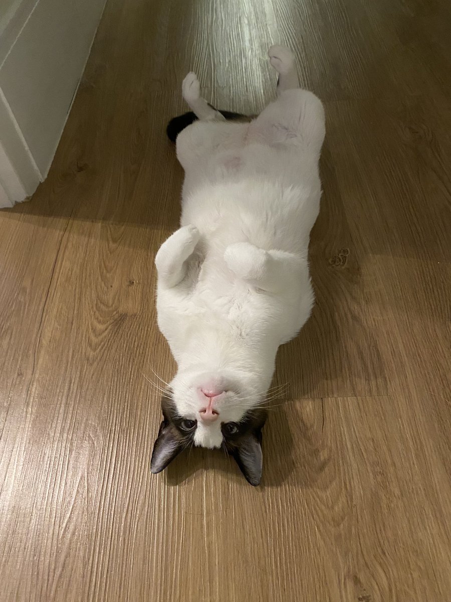 mmaethe's tweet photo. O REMY É PERFEITO DEMAIS, NÃO DA!!! https://t.co/wEgYhIEKDy