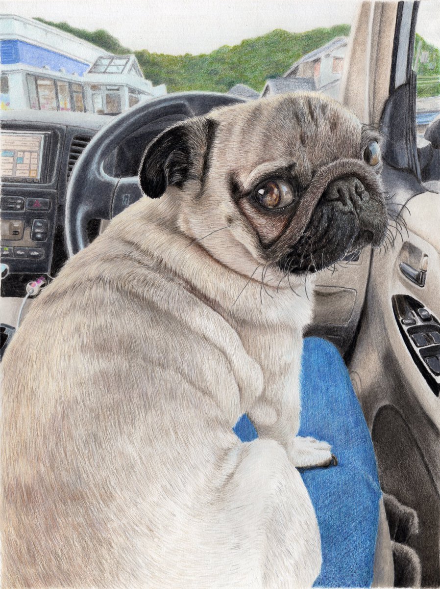 マロちゃん様』専用ページ パグ 犬 刺繍ブローチ 小物 | endageism.com