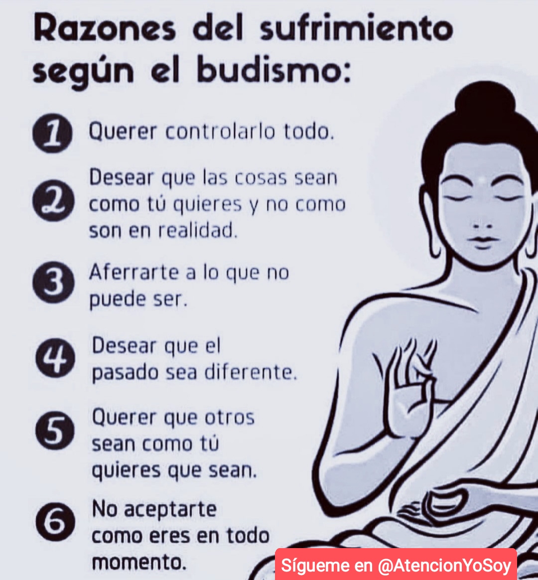 AtencionYoSoy's tweet photo. 🙏✨💫🌞Tip Bienestar🌞💫✨🙏

6 Razones del sufrimiento.

*Regálame un Hola si me lees* https://t.co/CWwSwRkyjZ
