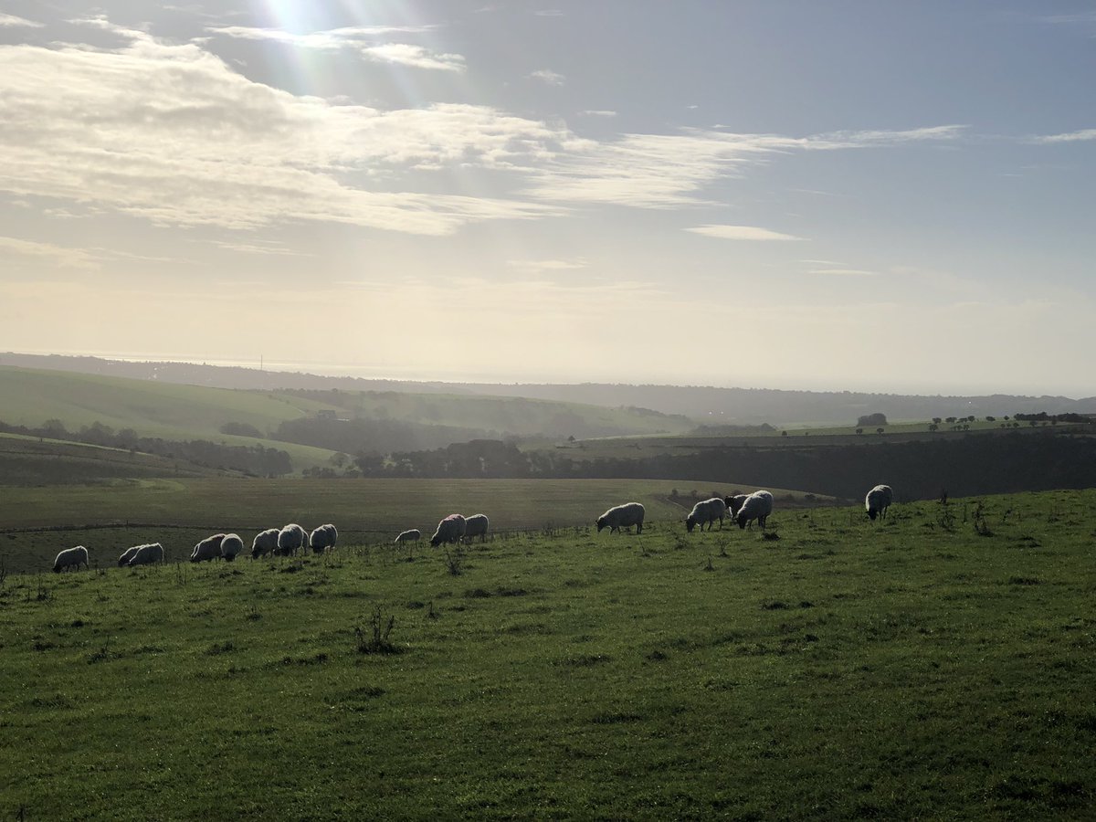 Rubbastuff's tweet photo. What a glorious day on the South Downs today. 

#luckyus
#southdowns #sundaystrolling #walk #hike #sussex https://t.co/5ufk8anYGT