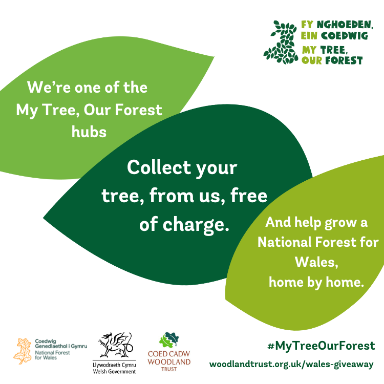 #MyTreeOurForest
Come to the Visitor Center
Bute Park, Cardiff. 1-3pm
Tuesdays and Fridays till December 16th and get a tree for your garden!! We've got 1000s to find new homes for!