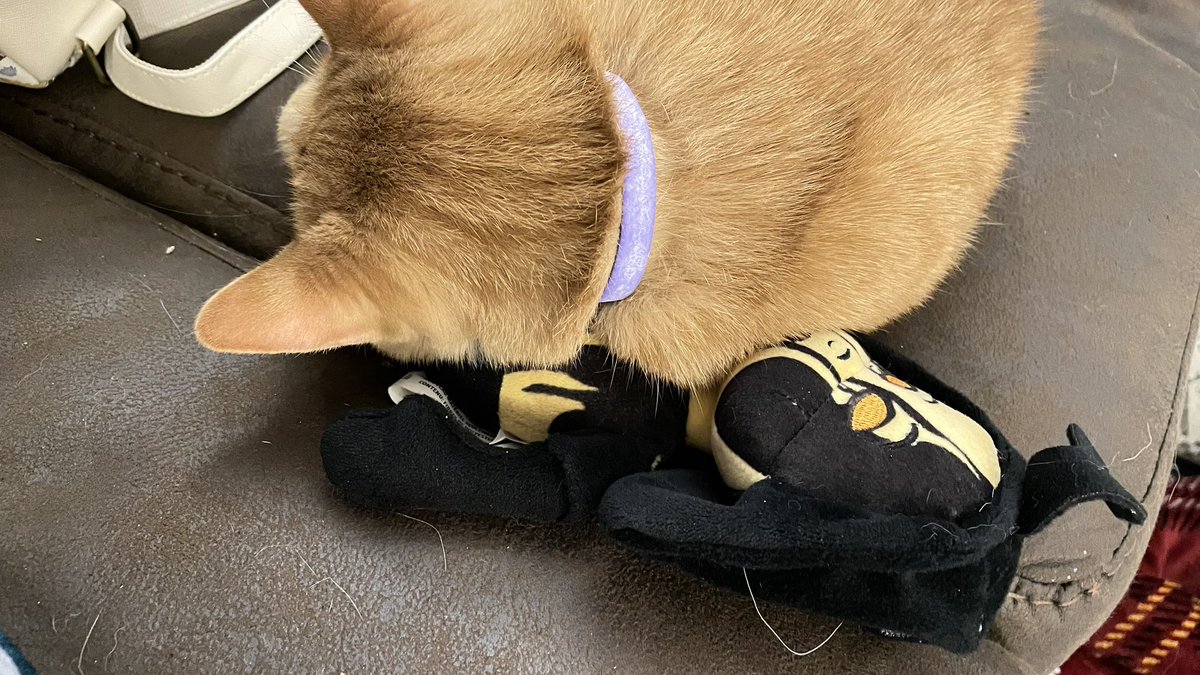 Ponyo has decided that Audrey is her pillow now. #BATDR #BENDY #CatsOfTwitter <a href="/Bendy/">Bendy</a>