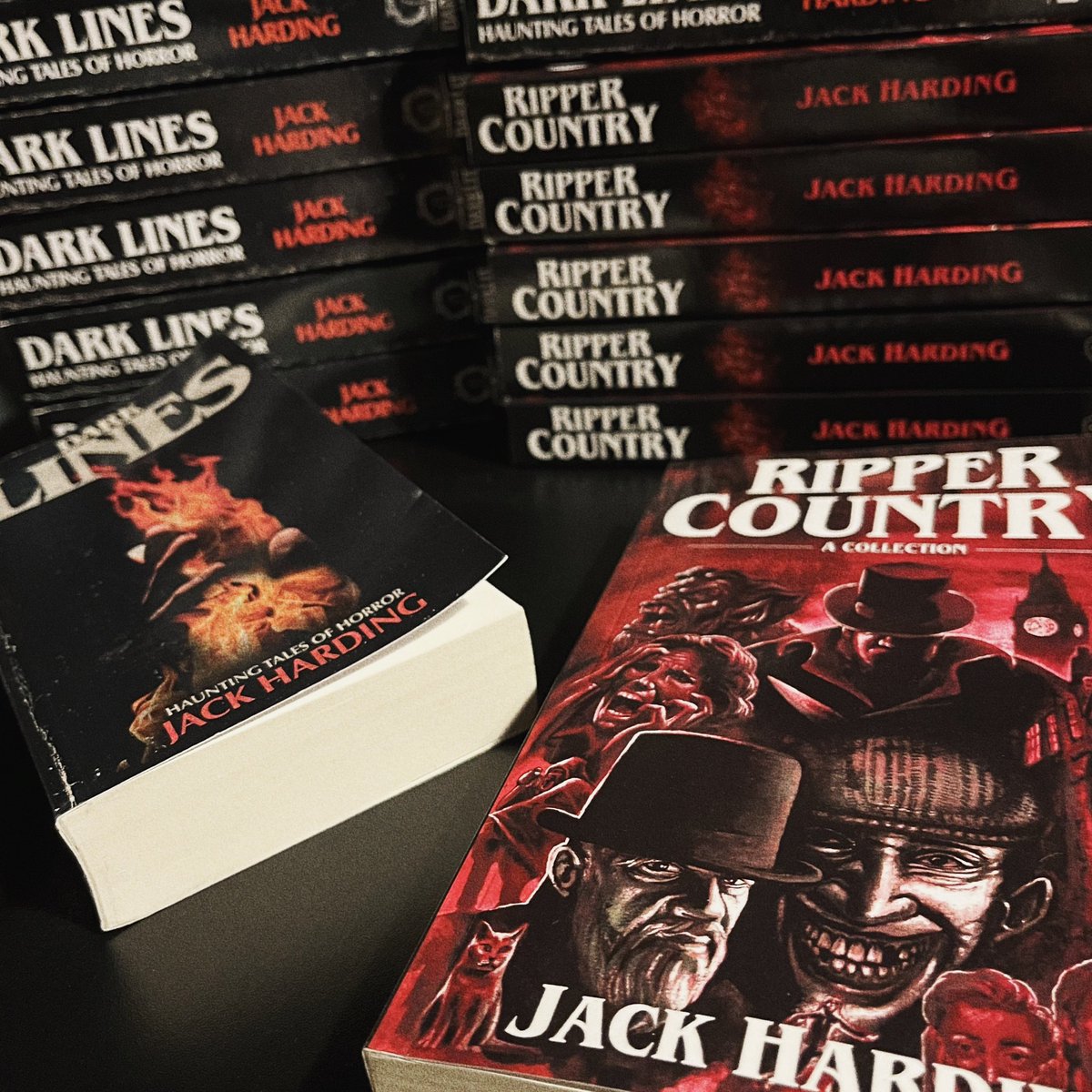 JHardingAuthor's tweet image. Signed Paperbacks 🖊💀📚

Just in time for the holiday season. Limited availability. Please feel free to slide into my DMs for details. 

@DarklitPress 
#signedbooks #writing #booktwt #horrorbooks #jacktheripper #darklines